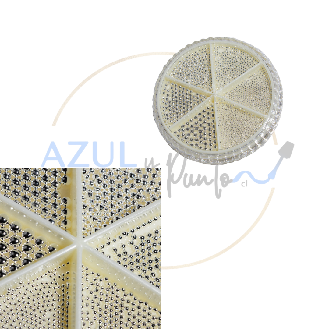 Caviar/Buliones Plateado claro Cherimoya